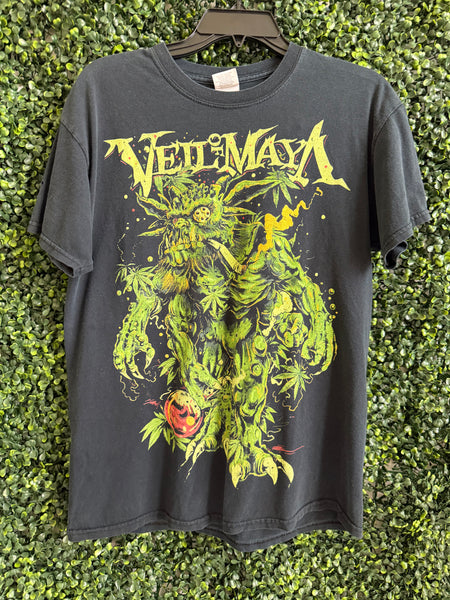 VEIL OF MAYA